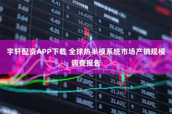 宇轩配资APP下载 全球热半模系统市场产销规模调查报告