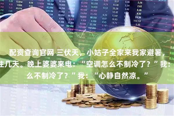 配资查询官网 三伏天，小姑子全家来我家避暑，婆婆让我去酒店住几天。晚上婆婆来电：“空调怎么不制冷了？”我：“心静自然凉。”