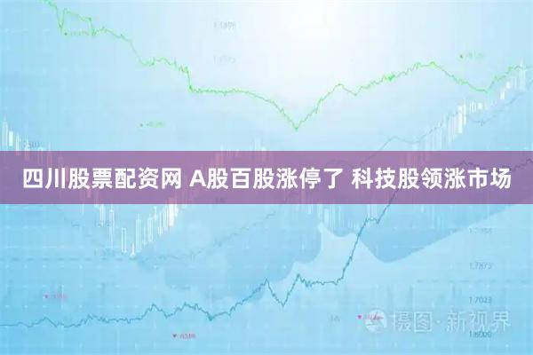 四川股票配资网 A股百股涨停了 科技股领涨市场
