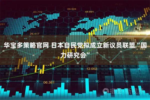 华宝多策略官网 日本自民党拟成立新议员联盟“国力研究会”