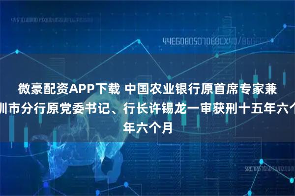 微豪配资APP下载 中国农业银行原首席专家兼深圳市分行原党委书记、行长许锡龙一审获刑十五年六个月